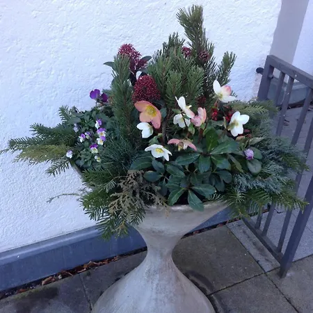 فندق Hotel/restaurant Nicolai Torkel *