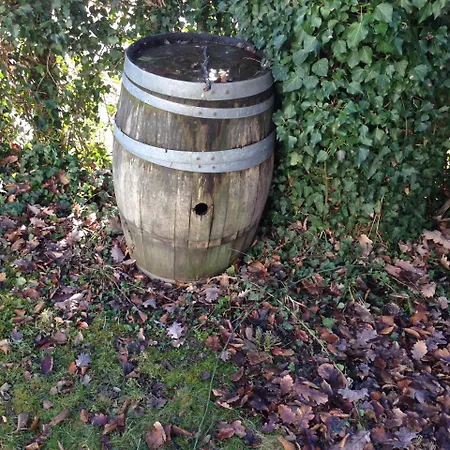 Hotel/restaurant Nicolai Torkel فندق *