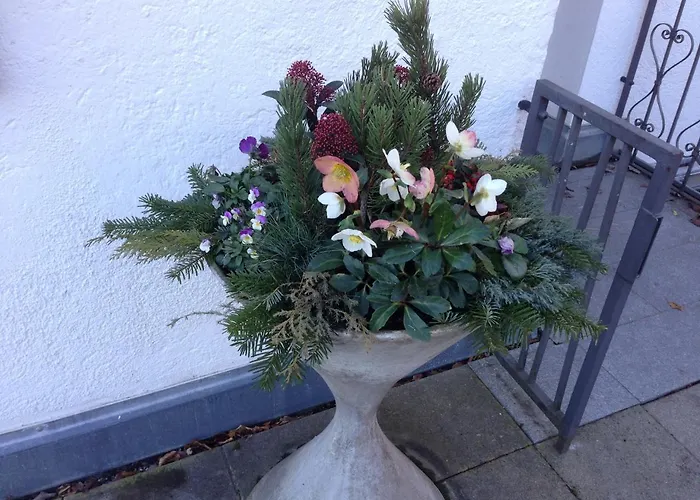 Hotel Hotel/restaurant Nicolai Torkel *