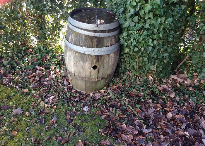 Hotel/restaurant Nicolai Torkel Hotel *